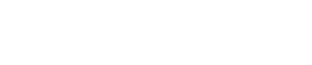 Logo_RCI Asset copy